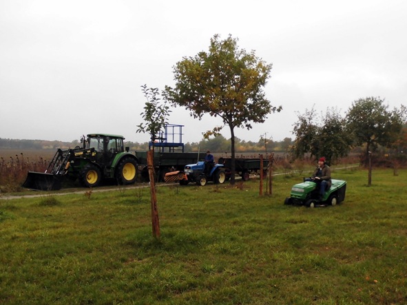 2016 10 22 Herbst auf der Streuobstwiese 01
