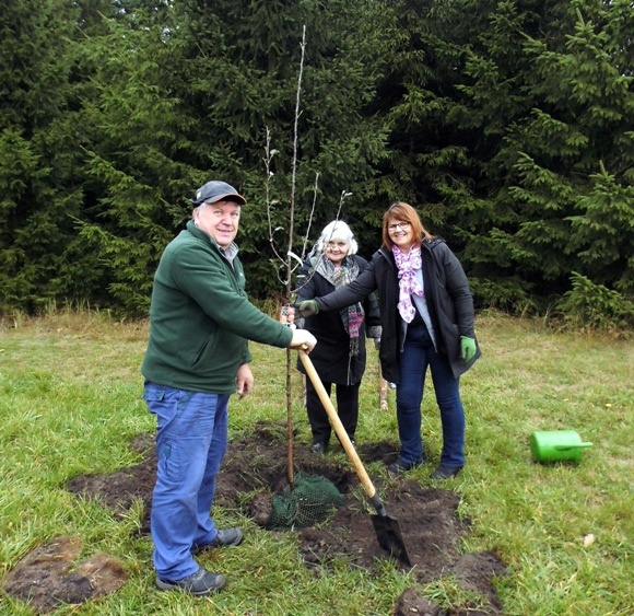 2016 10 22 Herbst auf der Streuobstwiese 03