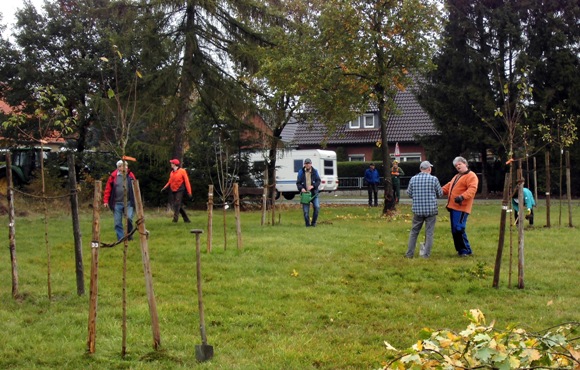 2016 10 22 Herbst auf der Streuobstwiese 04