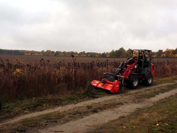 2016 10 22 Herbst auf der Streuobstwiese 05