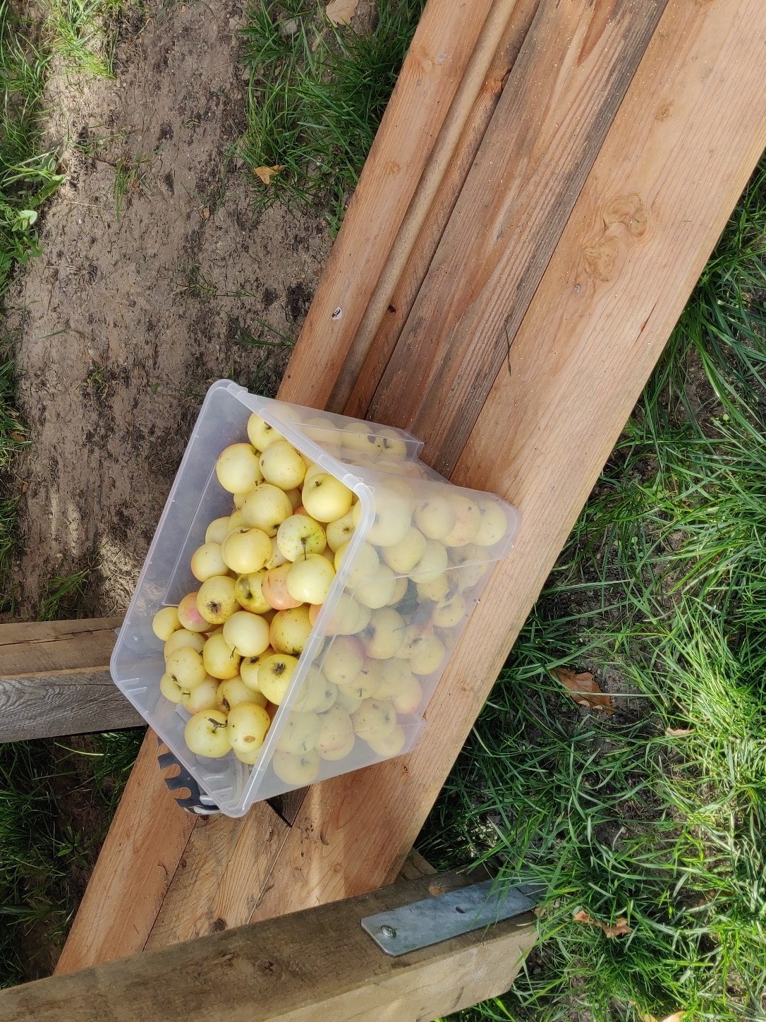 2022 10 29 Streuobstwiesenfest 2022 040