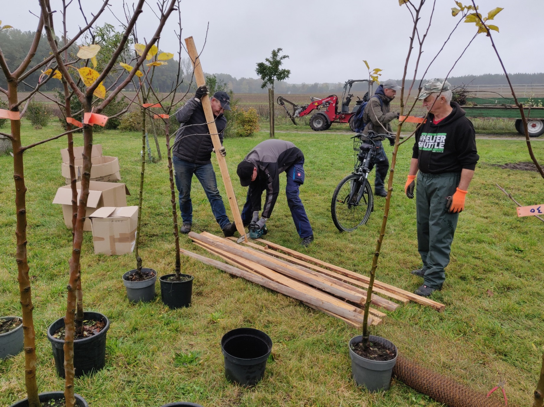 2023 10 28 Herbst auf der Streuobstwiese 04