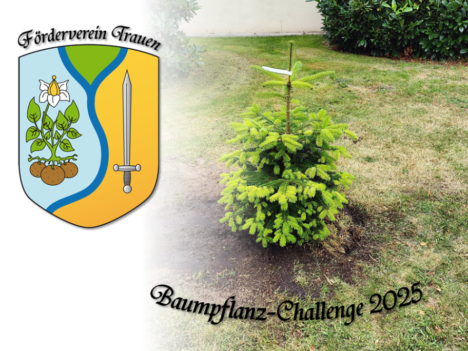 2025 Challenge 01