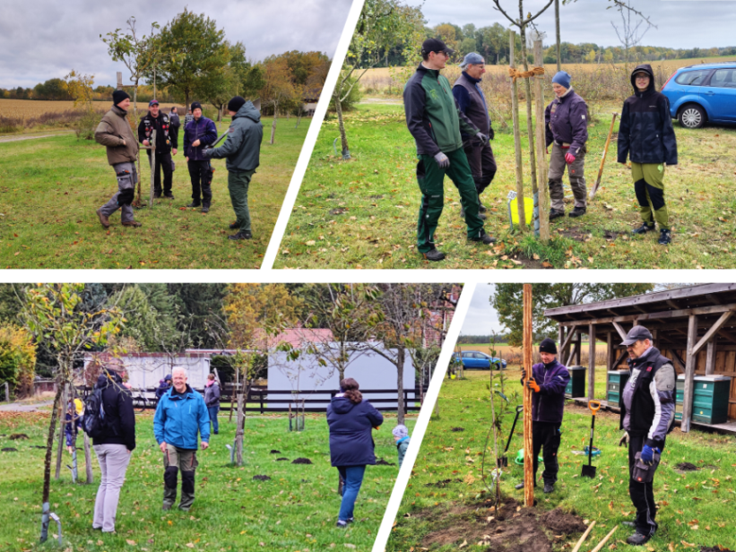 2025 10 25 Herbst Streuobstwiese 06 19 21 22
