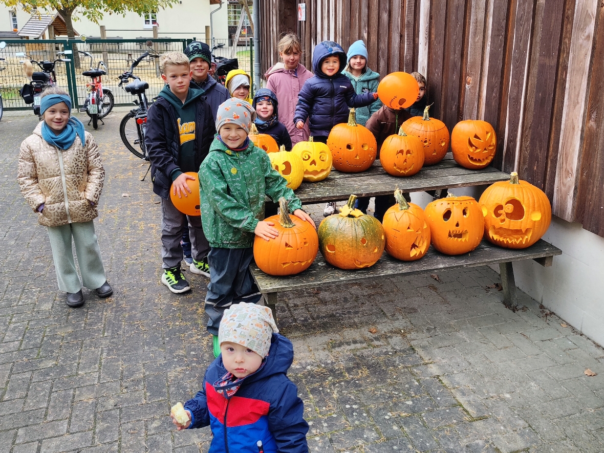 2025 10 25 Herbst Streuobstwiese 36