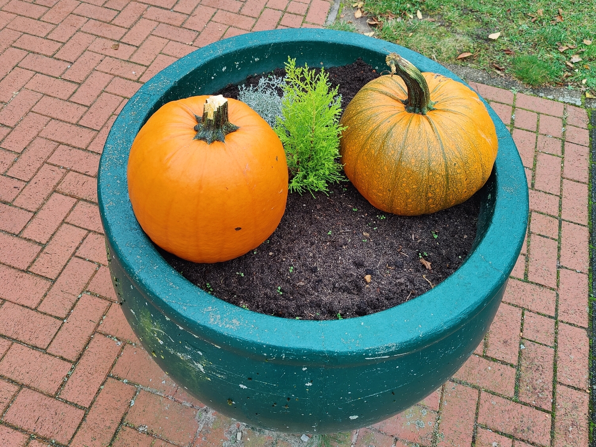 2025 10 25 Herbst Streuobstwiese 48