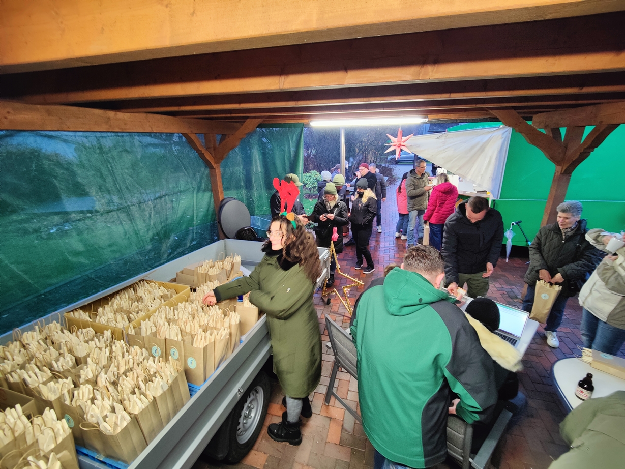 2025 11 15 Sterne 28