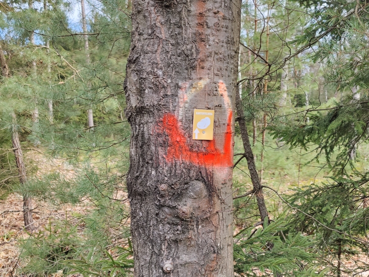 2026 04 04 Kontrollfahrt Kartoffelweg 10