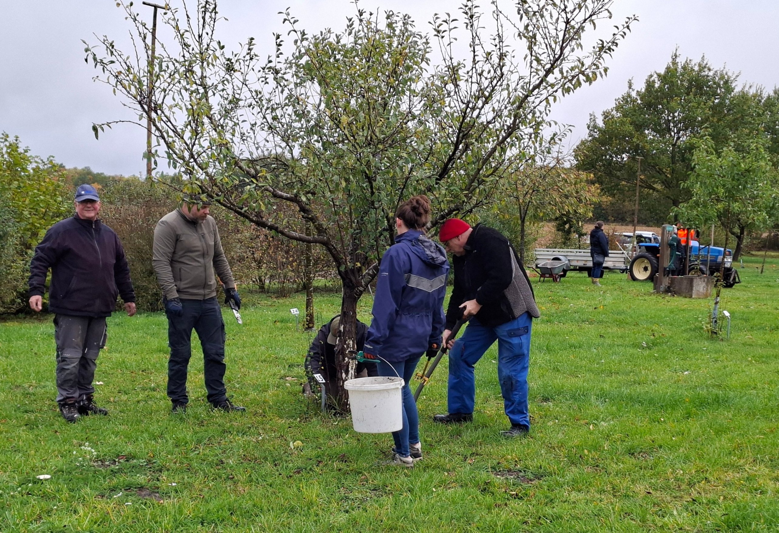 2026 10 24 Streuobstwiese Kürbisschnitzen 05