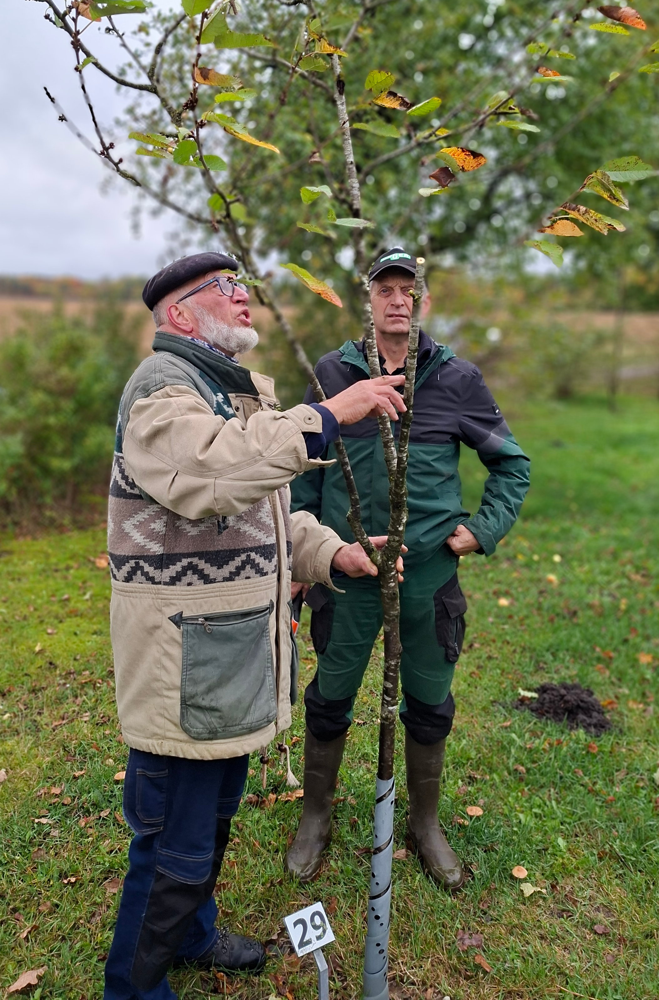 2026 10 24 Streuobstwiese Kürbisschnitzen 13