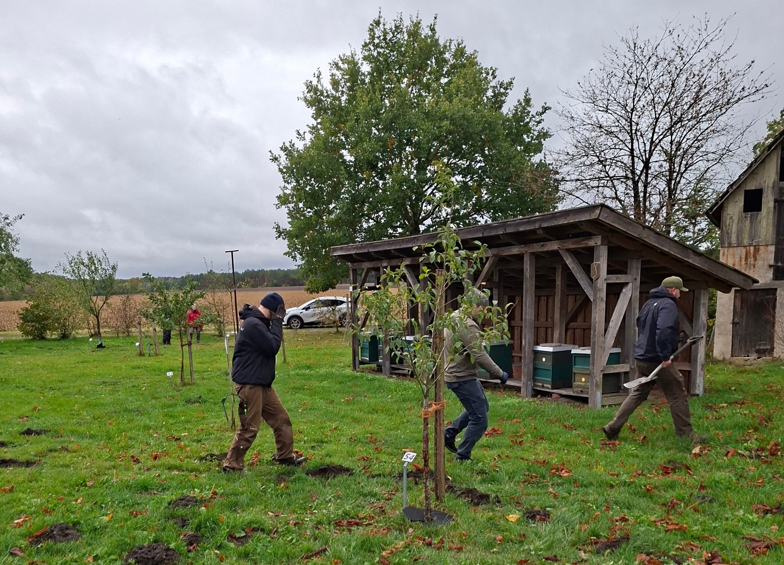 2026 10 24 Streuobstwiese Kürbisschnitzen 21