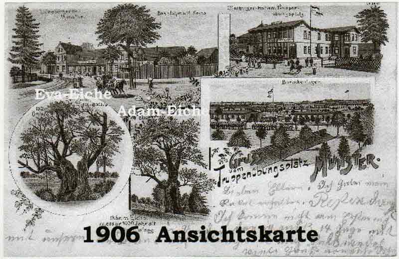 Postkarte_Trauen_1906