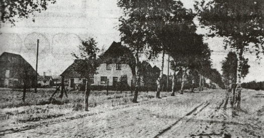 Trauen Strassenbau 01
