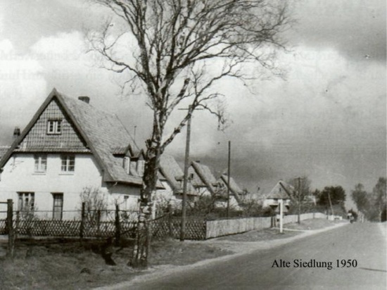 Trauen Strassenbau 02